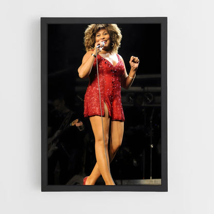 ap-tina turner-6 cadre Noir
