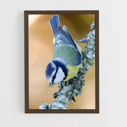 ap-tit-1 cadre Bois foncé