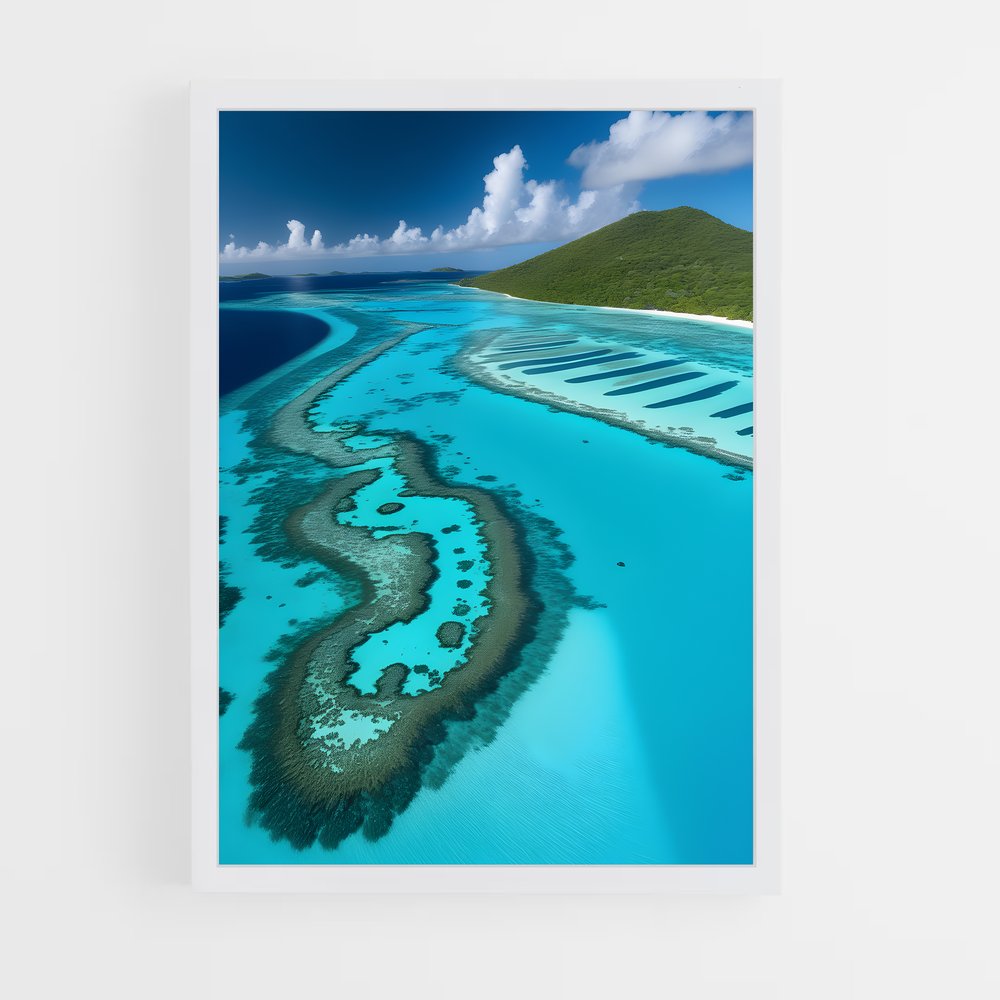 ap-tobago cays marine park-1 cadre Blanc