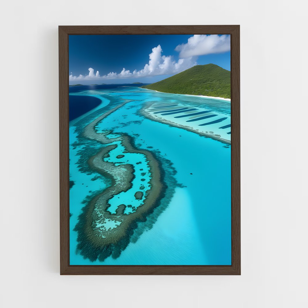 ap-tobago cays marine park-1 cadre Bois foncé