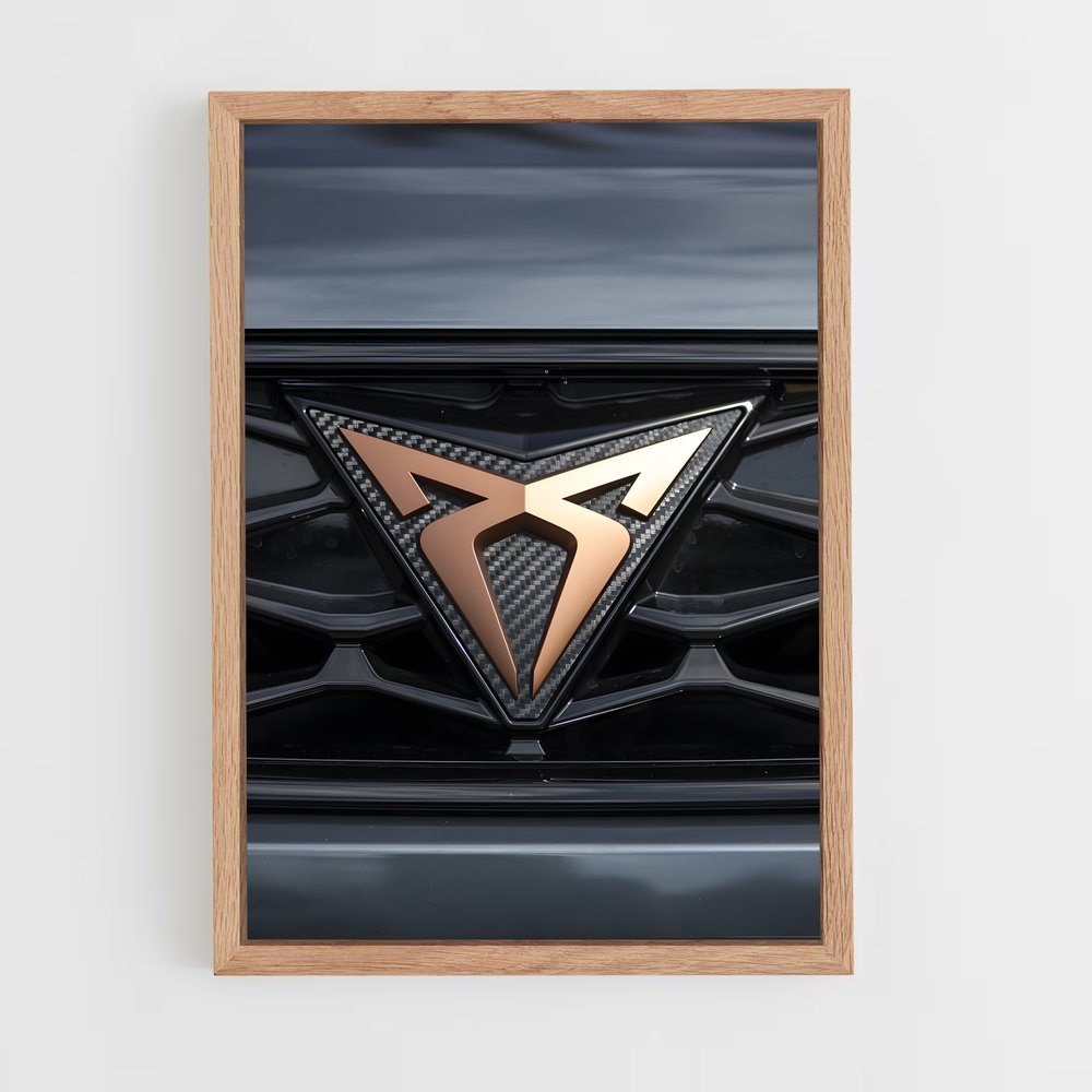 ap-toledo cupra-2 cadre Bois clair