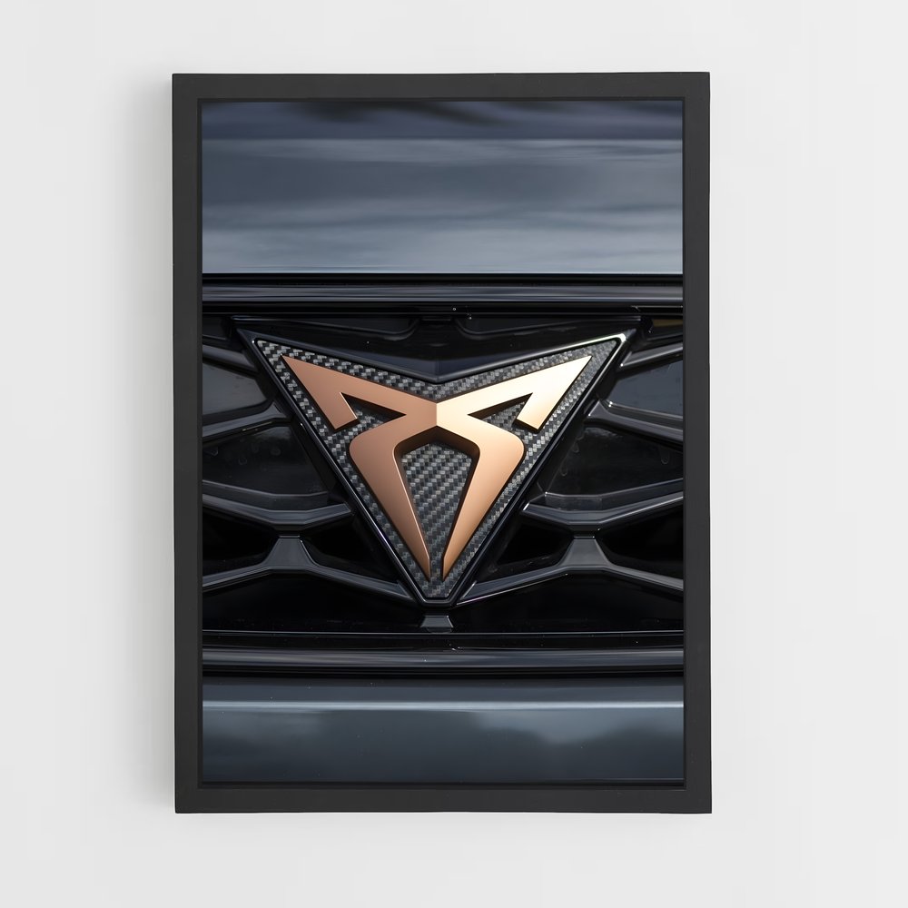 ap-toledo cupra-2 cadre Noir