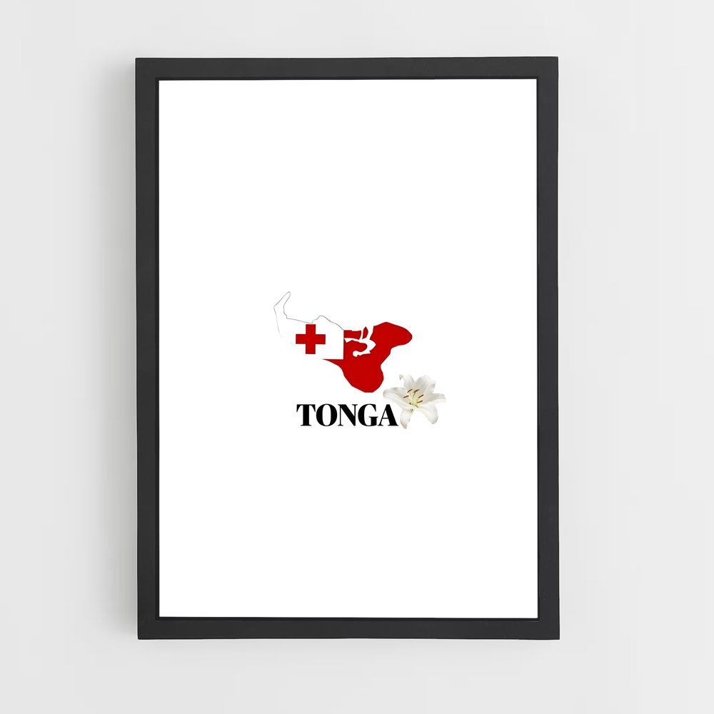 ap-tonga flag-2 cadre Noir