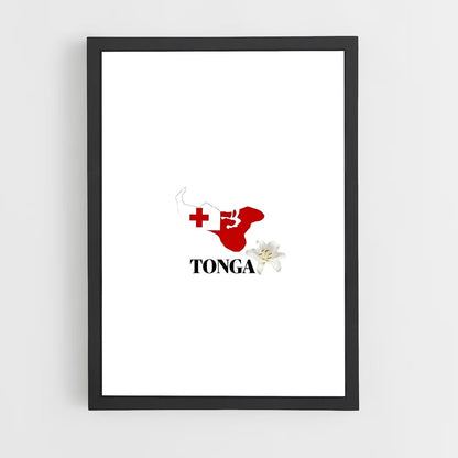 ap-tonga flag-2 cadre Noir