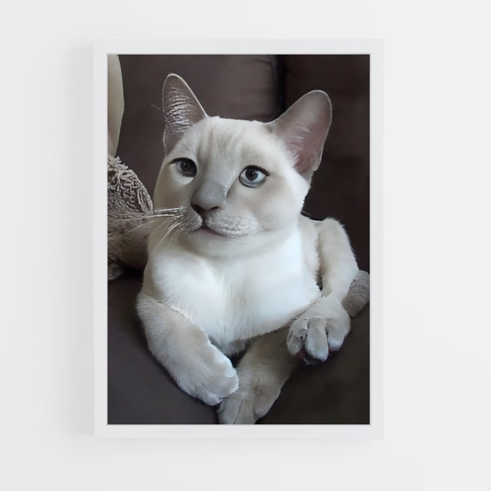 ap-tonkinese-1 cadre Blanc