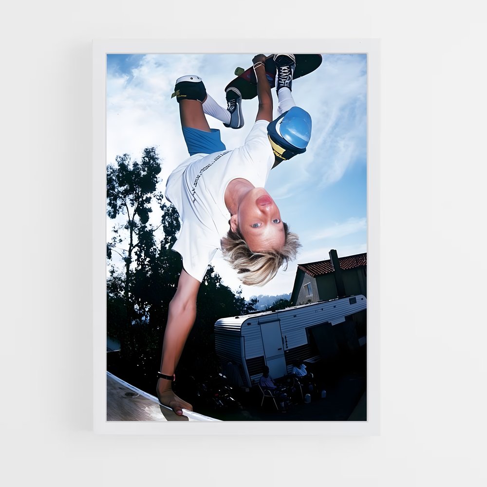 ap-tony hawk-5 cadre Blanc