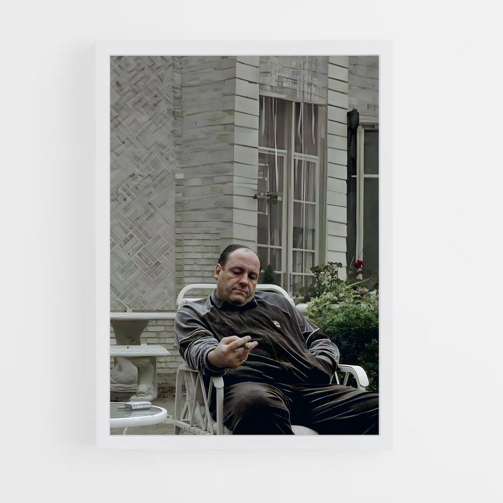 ap-tony soprano-1 cadre Blanc