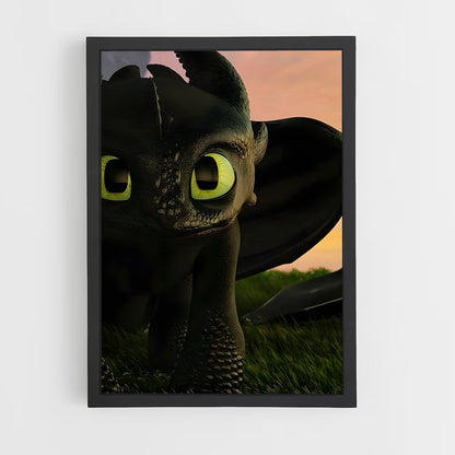 ap-toothless-6 cadre Noir