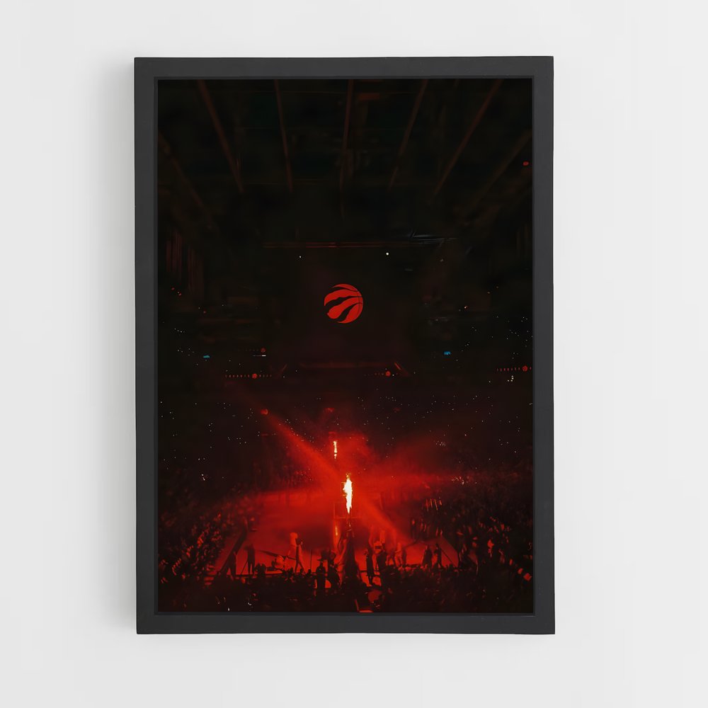 ap-toronto raptors-4 cadre Noir
