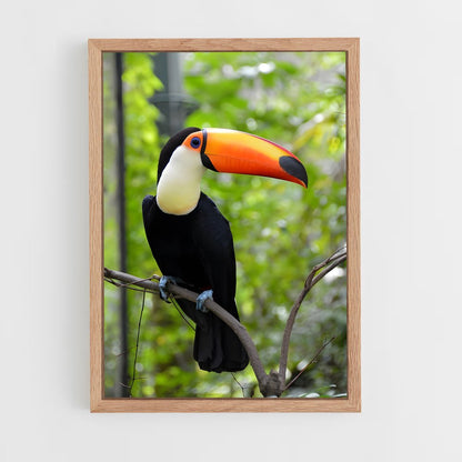 ap-toucan-2 cadre Bois clair
