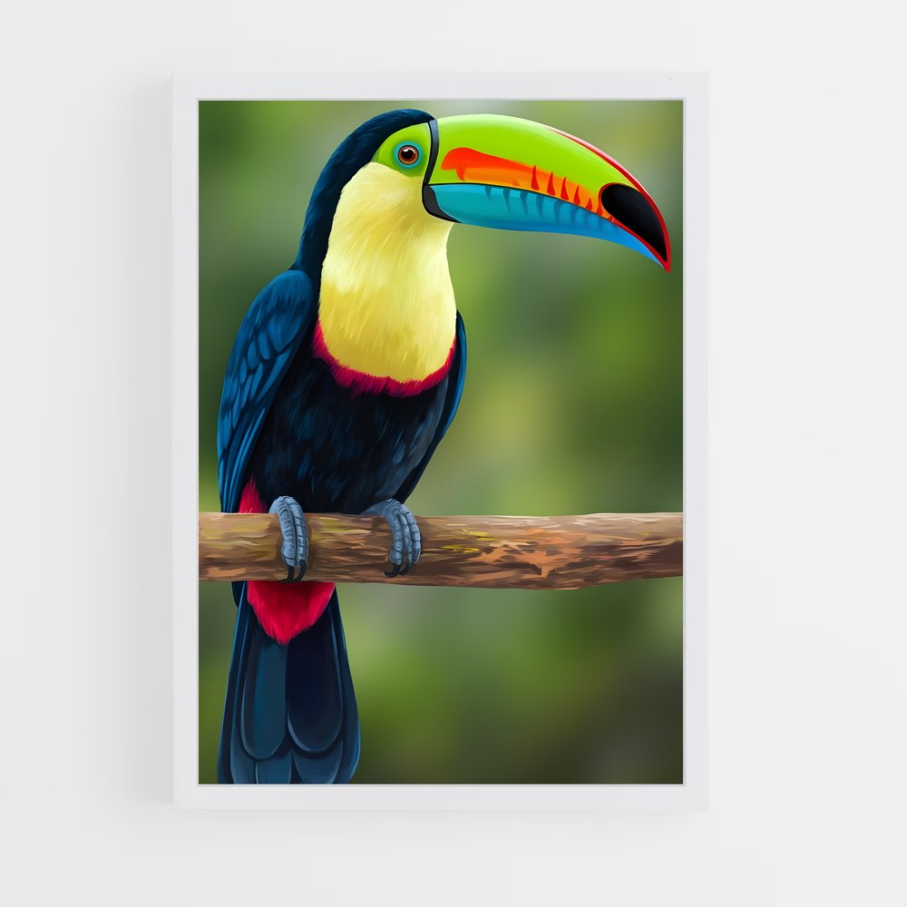 ap-toucan-3 cadre Blanc