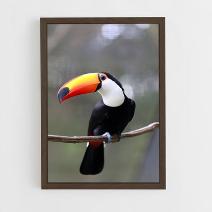 ap-toucan-9 cadre Bois foncé