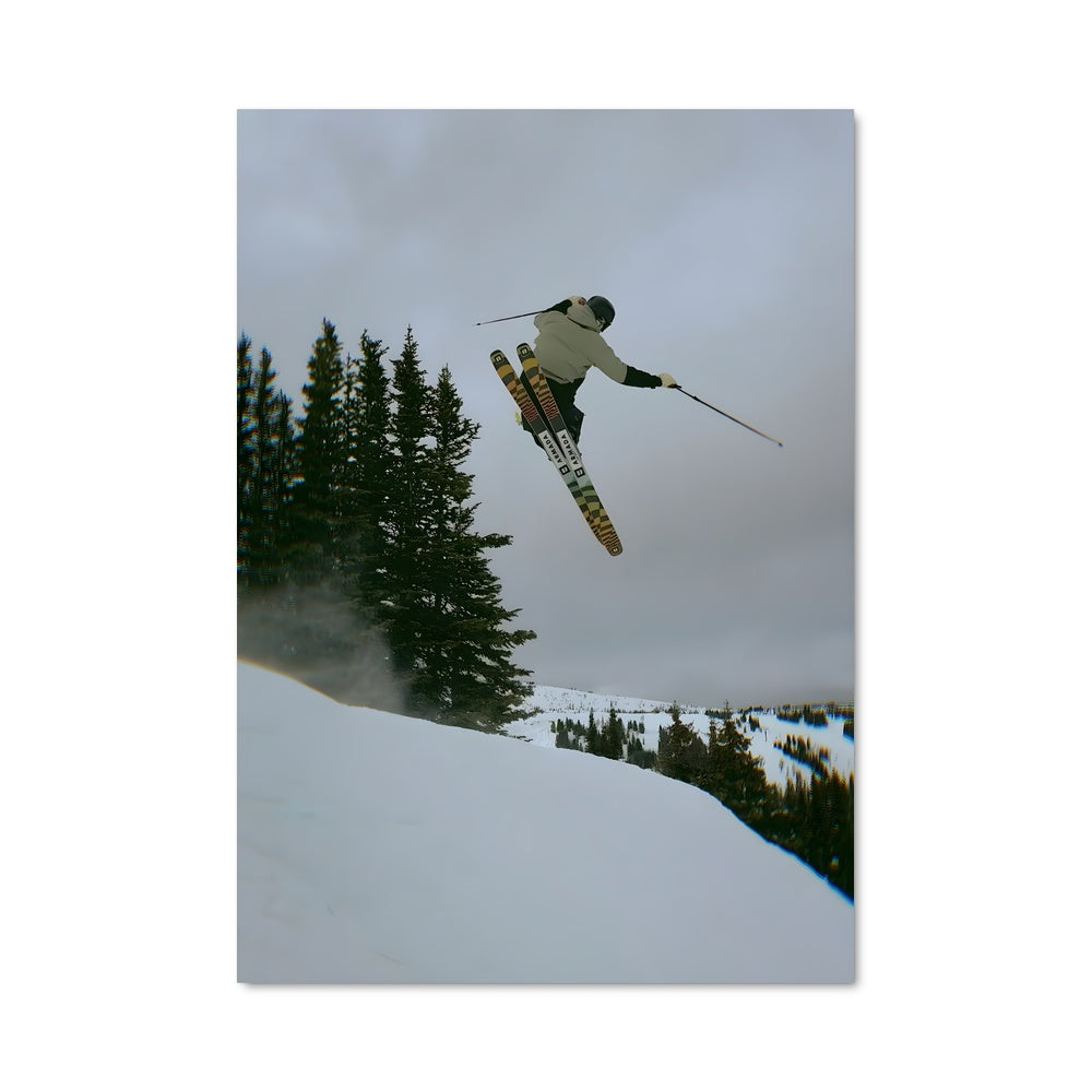 Poster L'Élan des Neiges