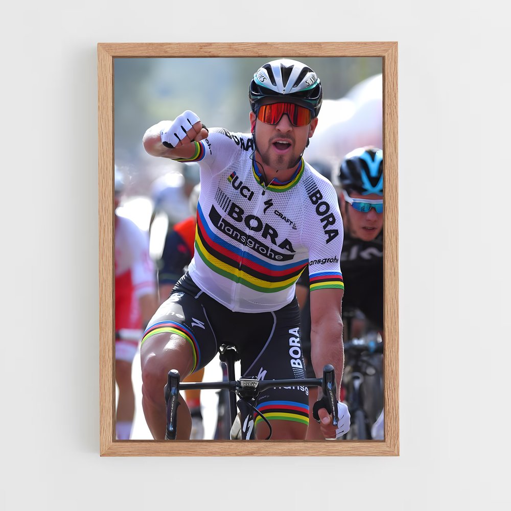ap-tour de pologne-5 cadre Bois clair