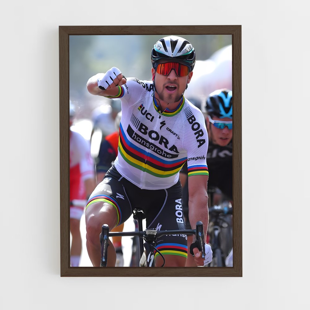 ap-tour de pologne-5 cadre Bois foncé