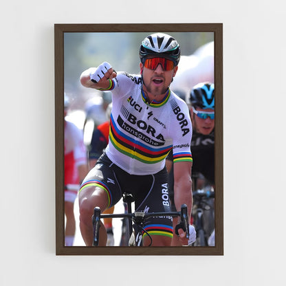 ap-tour de pologne-5 cadre Bois foncé