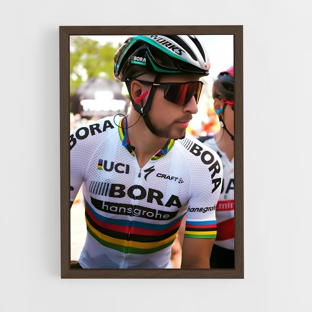 ap-tour de pologne-6 cadre Bois foncé