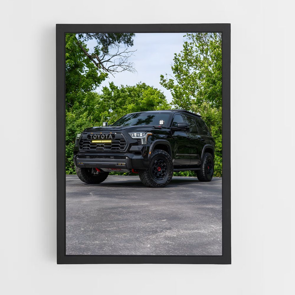 ap-toyota-1 cadre Noir