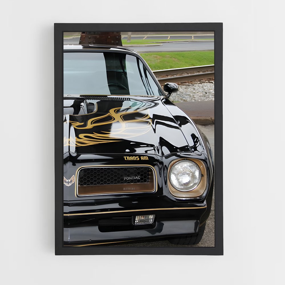 ap-trans am-1 cadre Noir