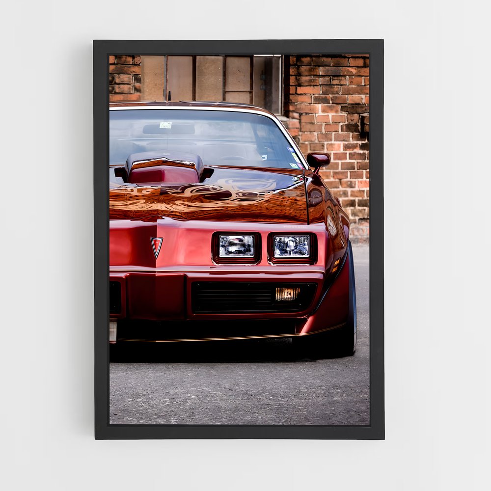 ap-trans am-2 cadre Noir
