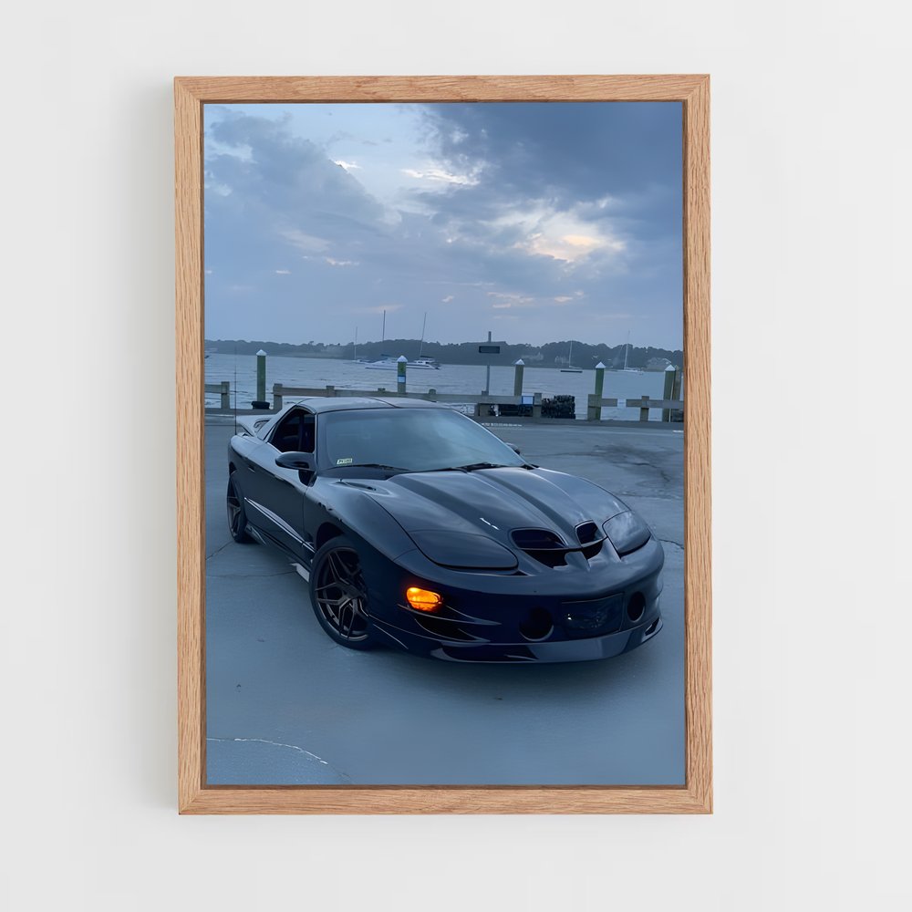 ap-trans am ws6-1 cadre Bois clair