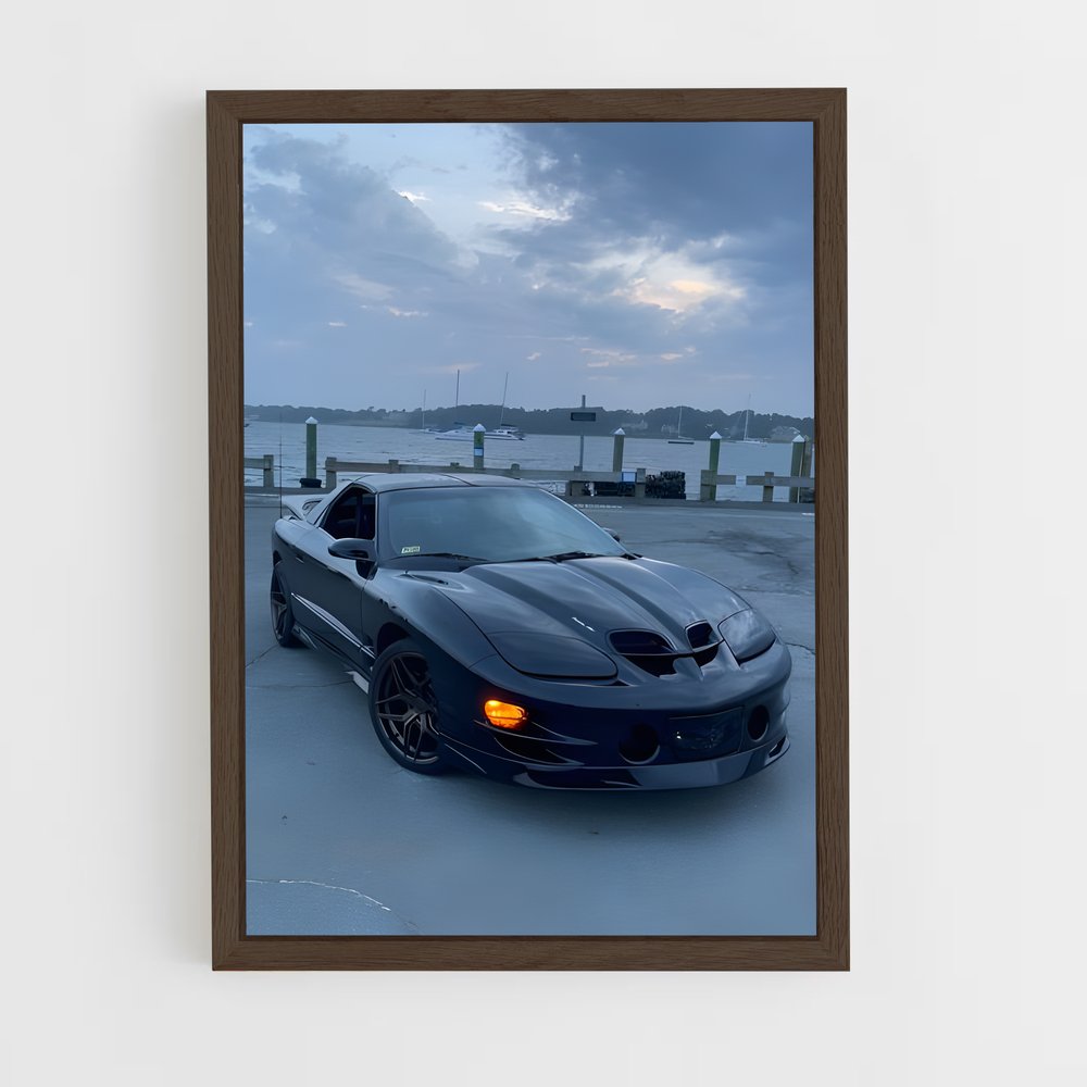 ap-trans am ws6-1 cadre Bois foncé