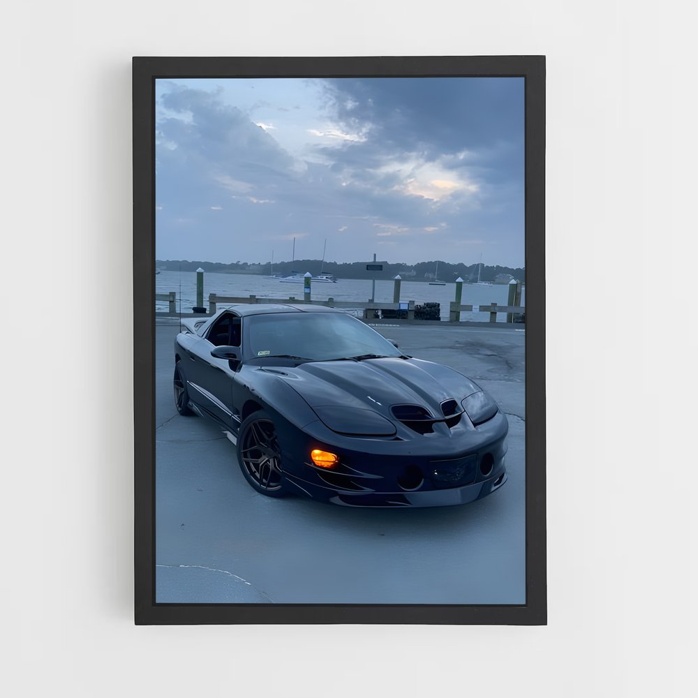 ap-trans am ws6-1 cadre Noir
