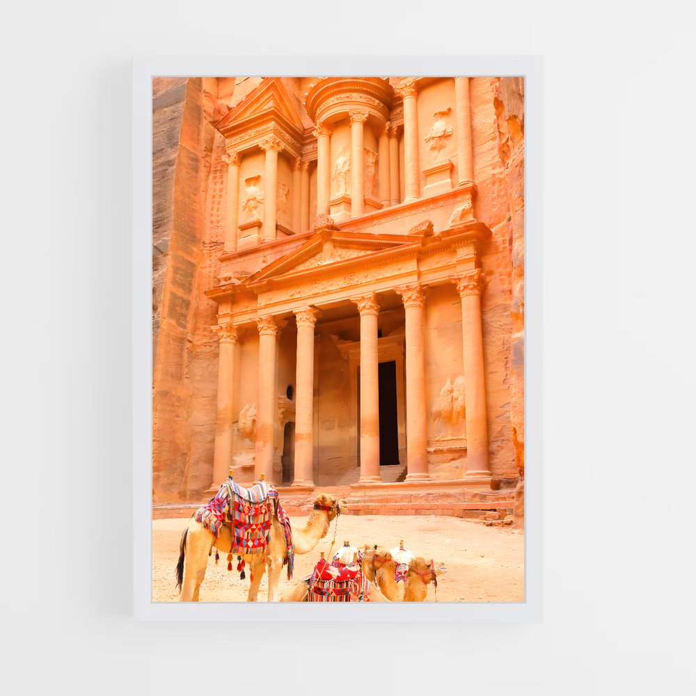 ap-treasury petra-3 cadre Blanc