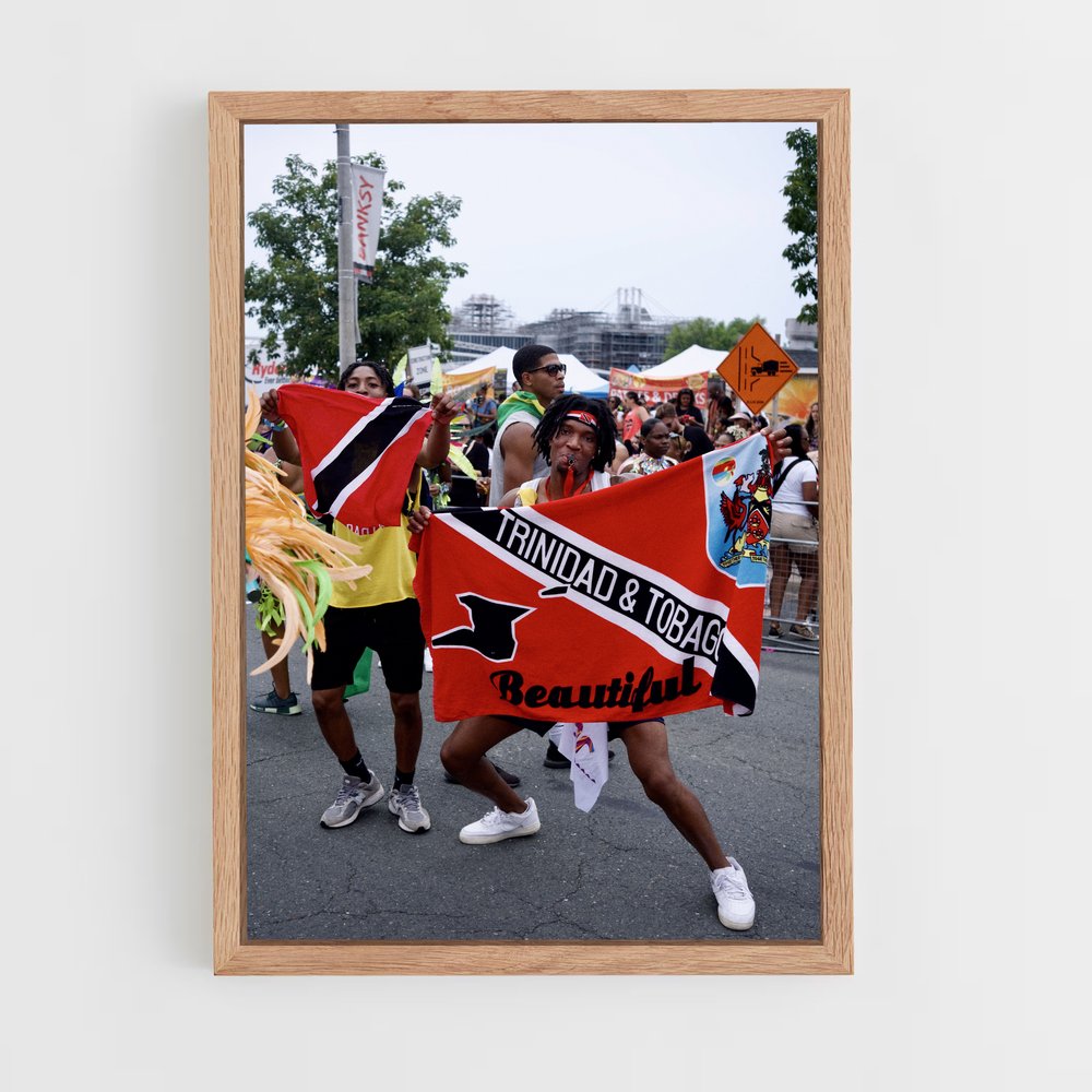 ap-trinidad and tobago flag-3 cadre Bois clair