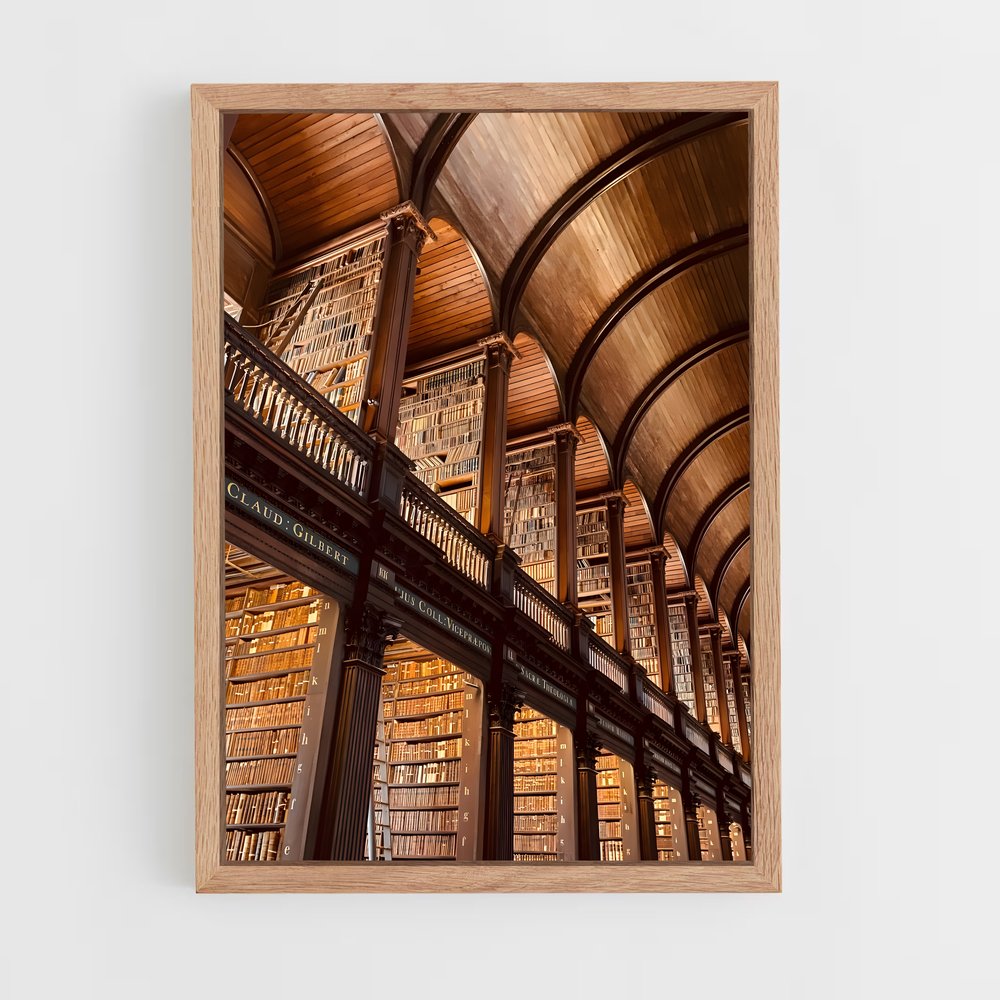 ap-trinity college dublin-1 cadre Bois clair