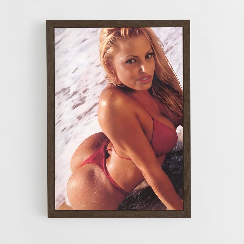 ap-trish stratus-1 cadre Bois foncé