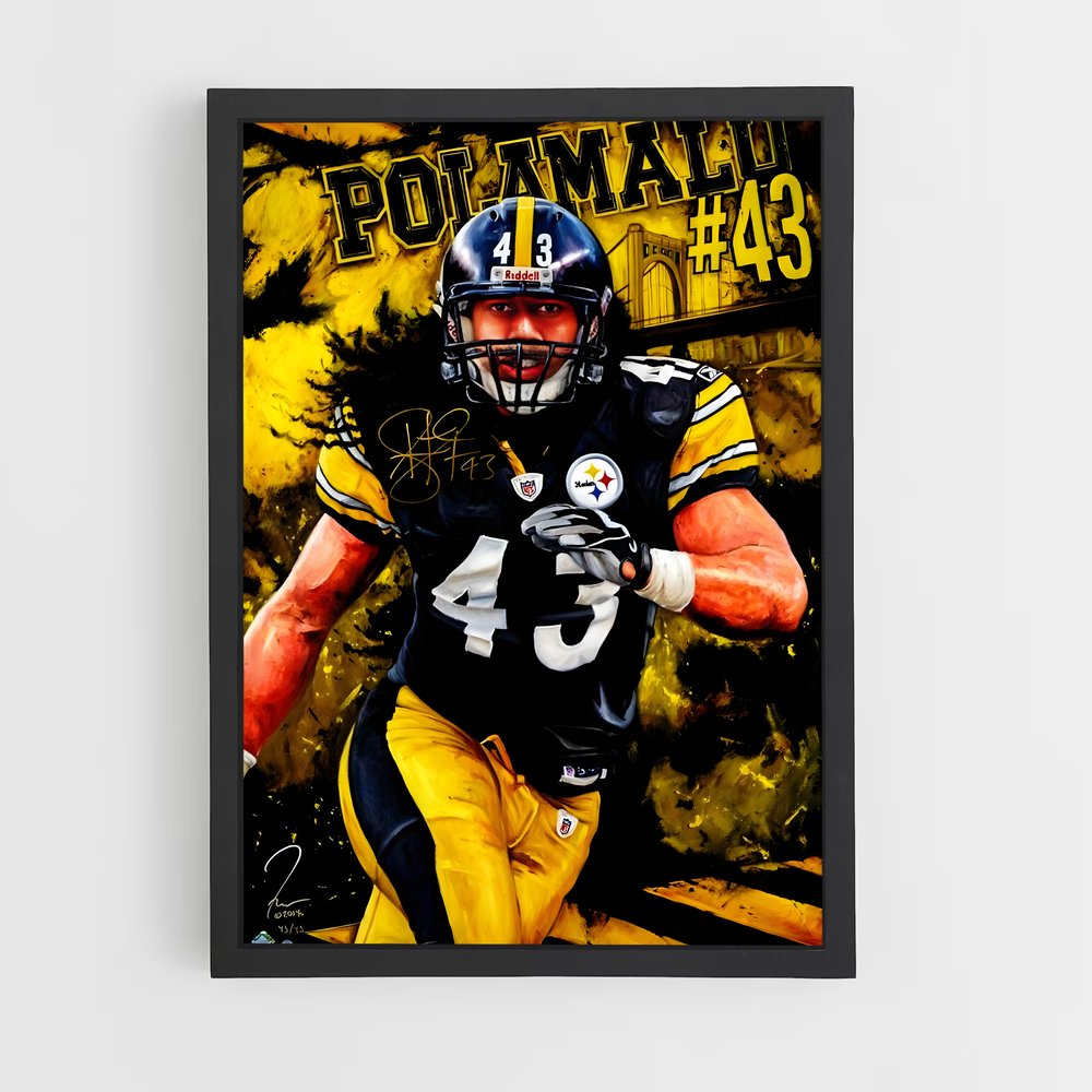 ap-troy polamalu-1 cadre Noir