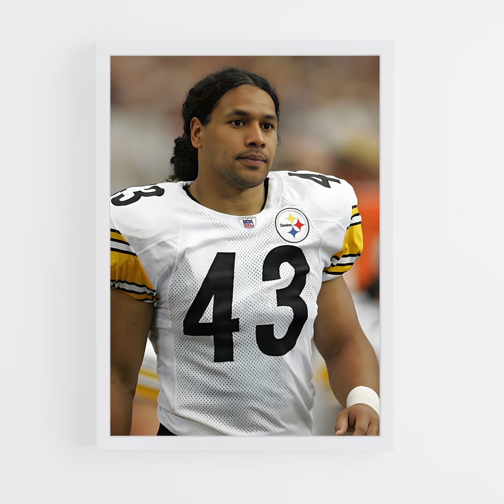 ap-troy polamalu-3 cadre Blanc