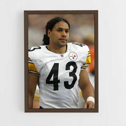 ap-troy polamalu-3 cadre Bois foncé