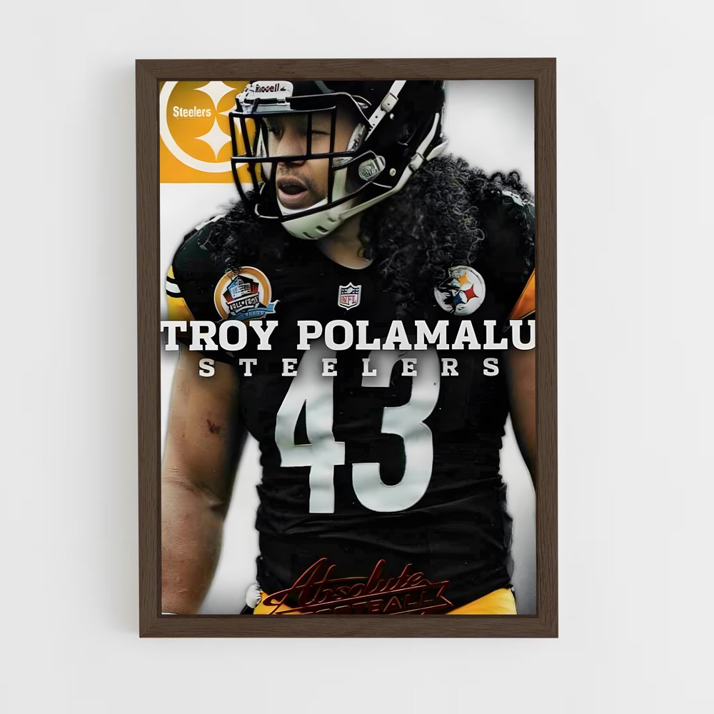 ap-troy polamalu-6 cadre Bois foncé