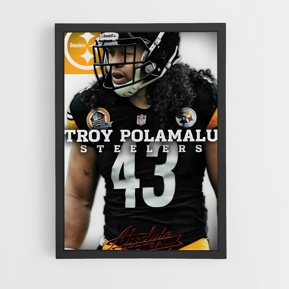 ap-troy polamalu-6 cadre Noir