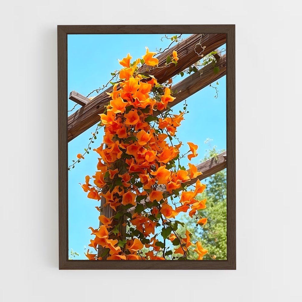 ap-trumpet vine-3 cadre Bois foncé