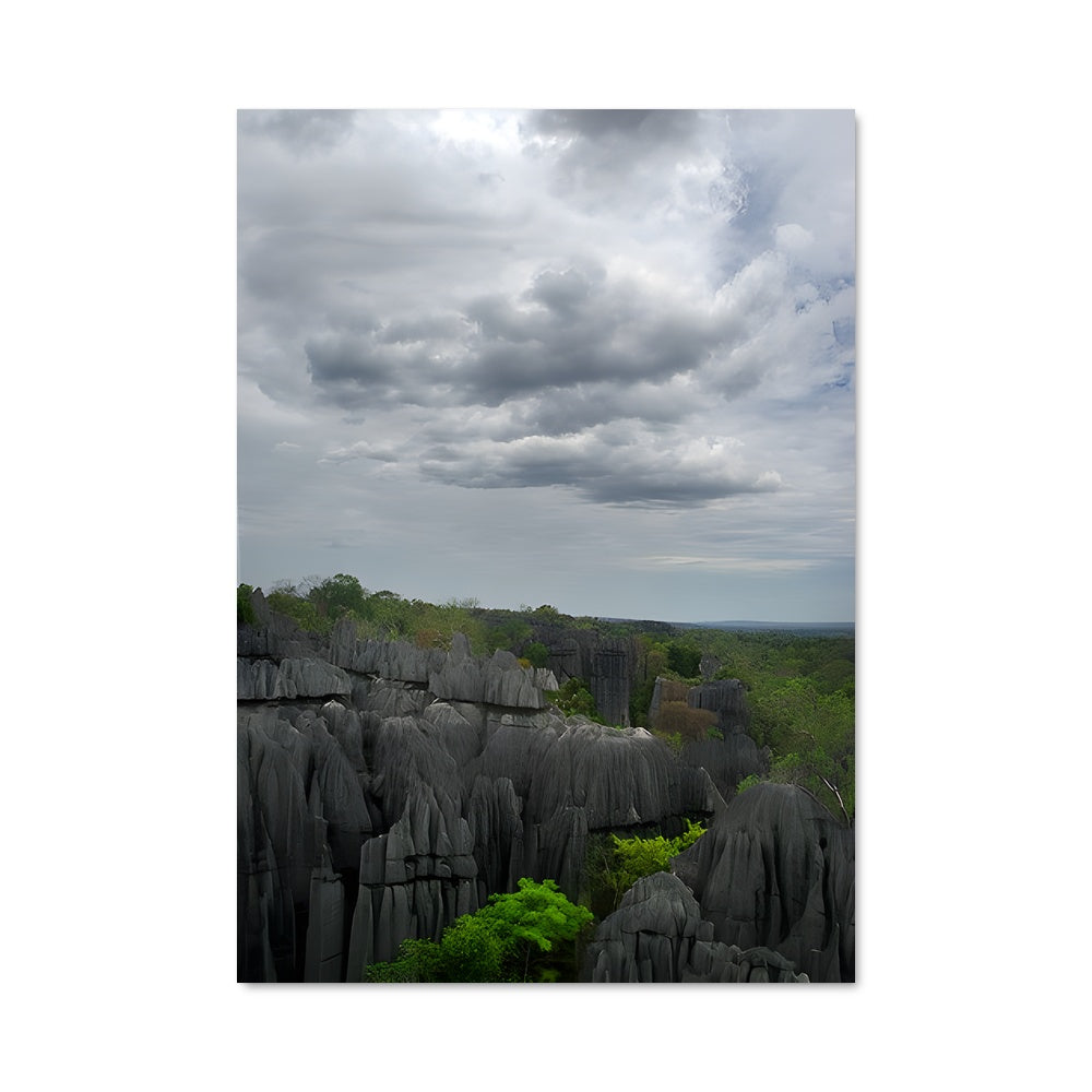 Poster Forêt Noire Philippine