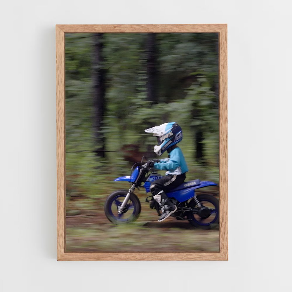 ap-tt-r250-1 cadre Bois clair