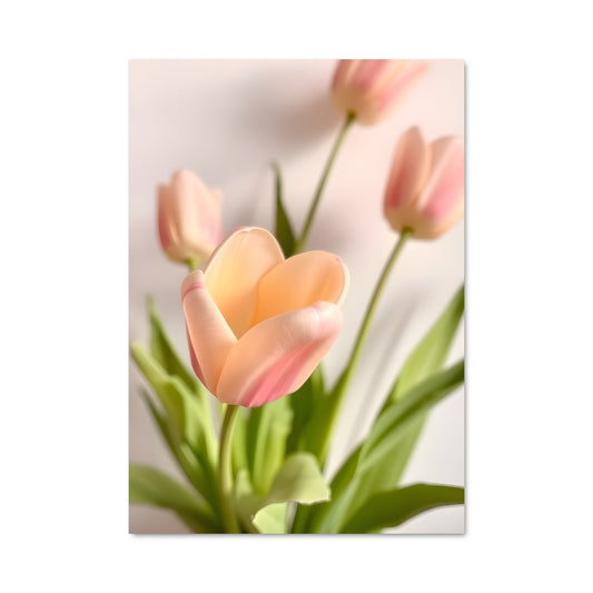 Poster Tulipes Enchantées