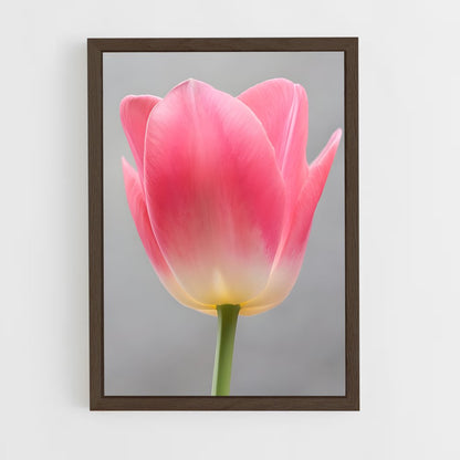 ap-tulip-4 cadre Bois foncé