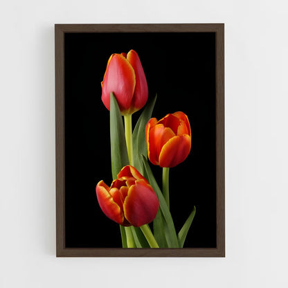 ap-tulip-9 cadre Bois foncé
