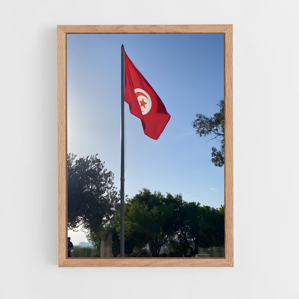 ap-tunisia flag-3 cadre Bois clair