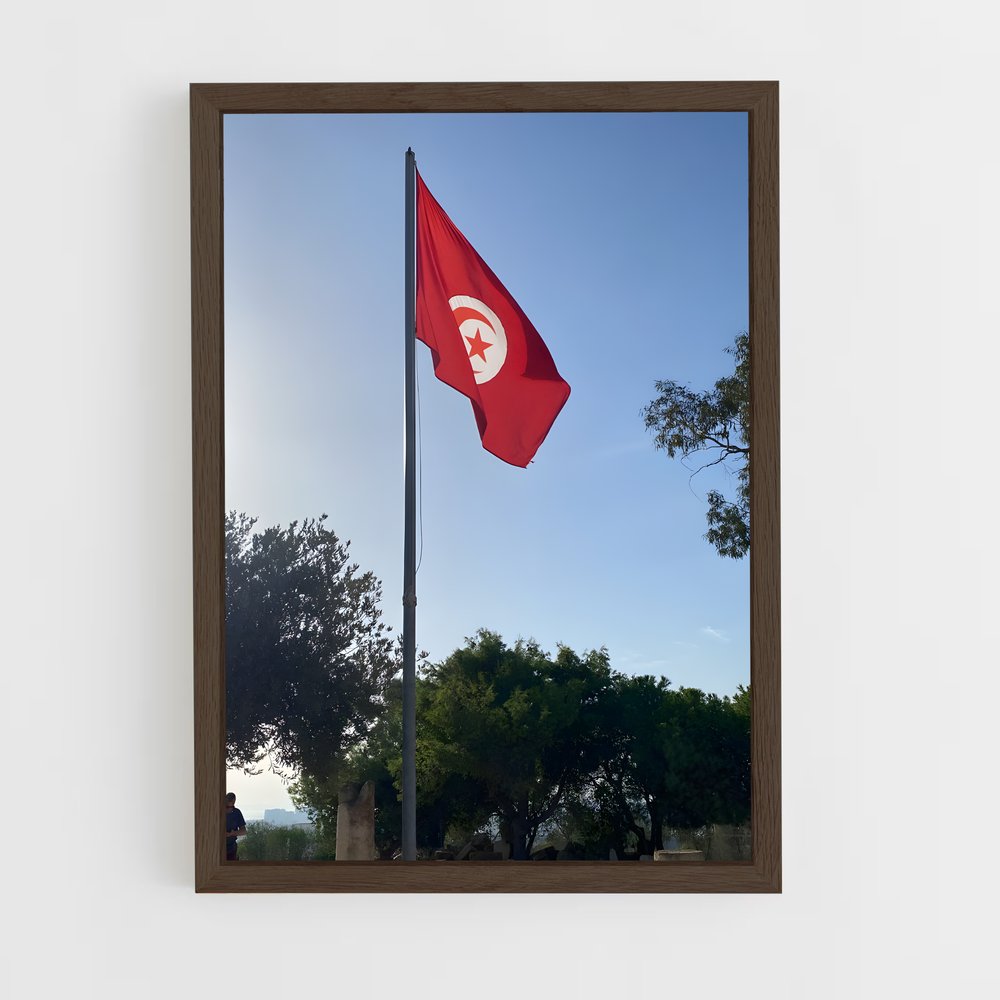 ap-tunisia flag-3 cadre Bois foncé