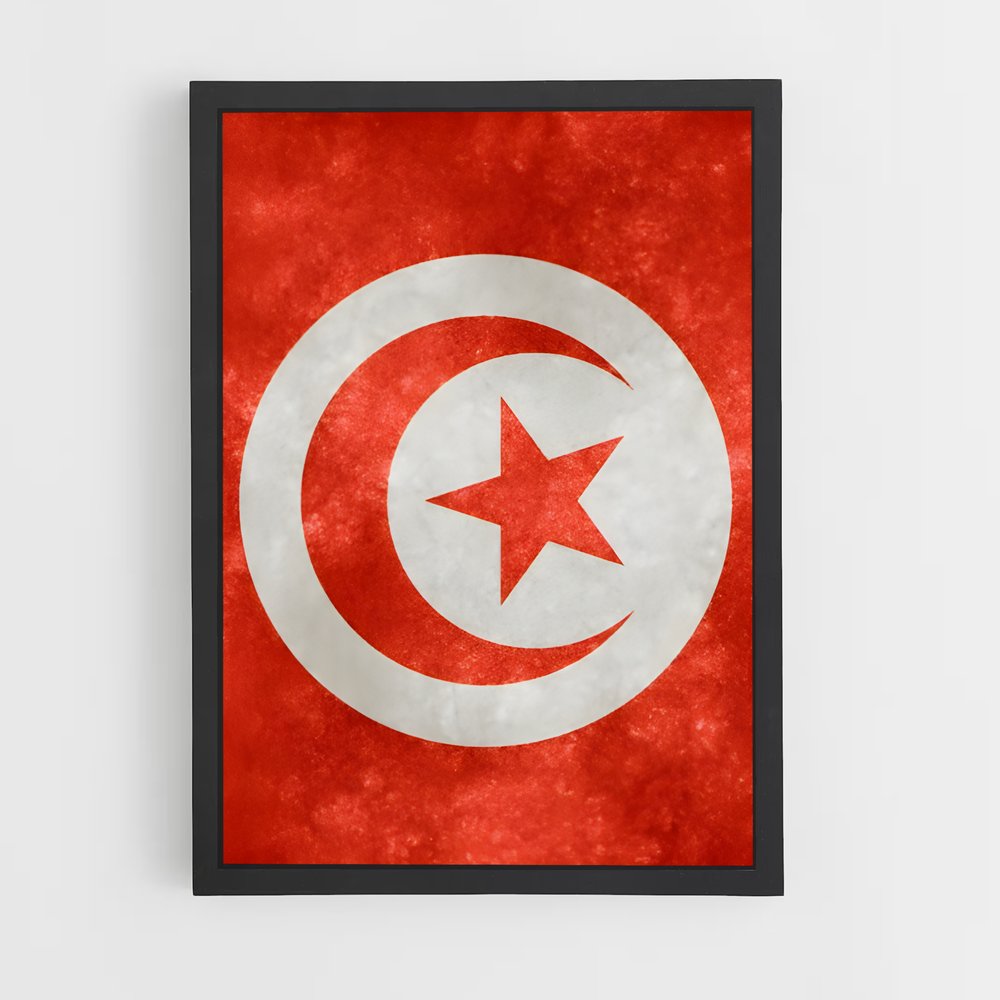 ap-tunisia flag-4 cadre Noir