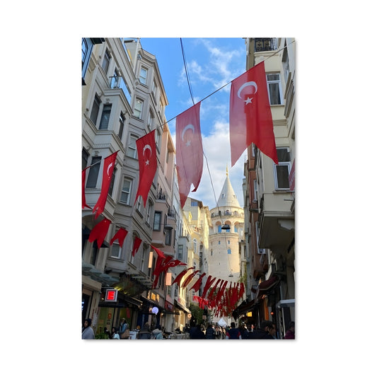 Poster Turkey 89471