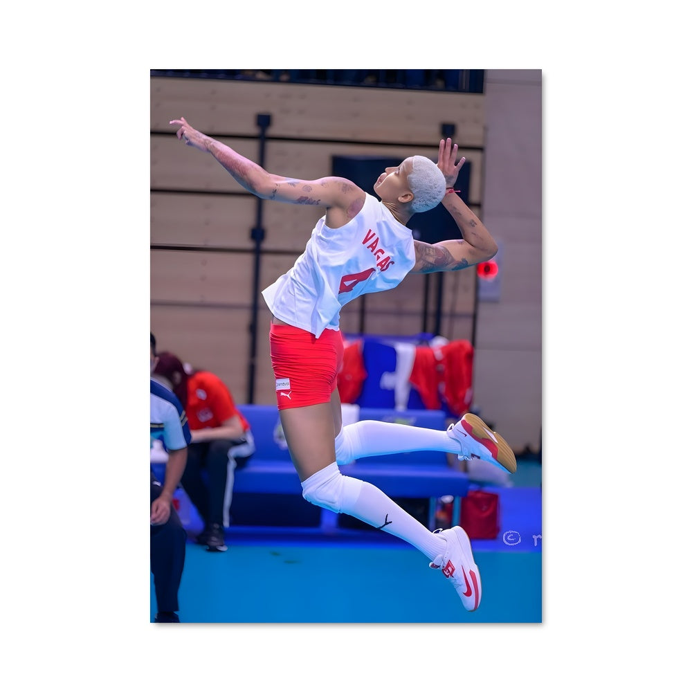 Poster Envolée Volleyball
