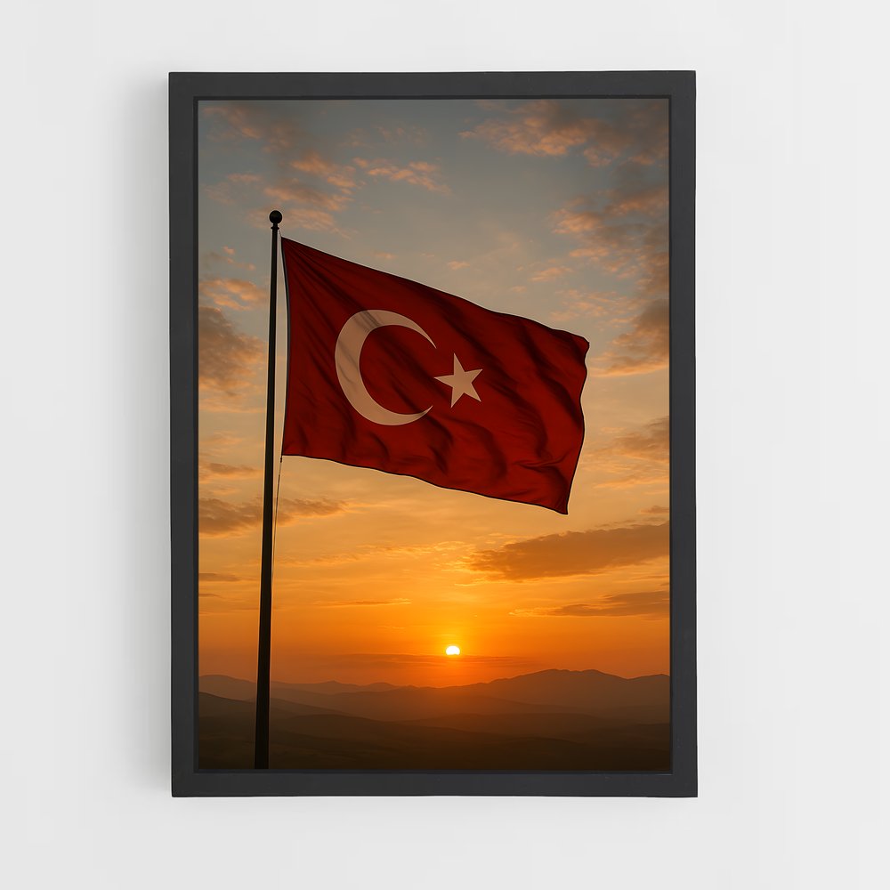 ap-turkey flag-1 cadre Noir