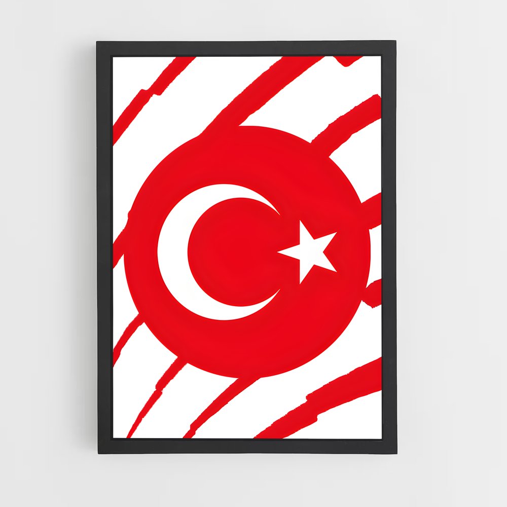 ap-turkey national football team-2 cadre Noir