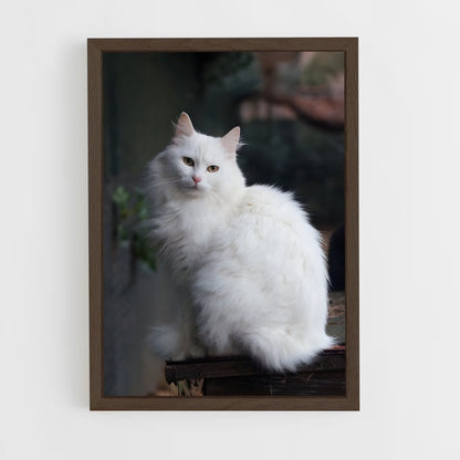 ap-turkish angora-1 cadre Bois foncé